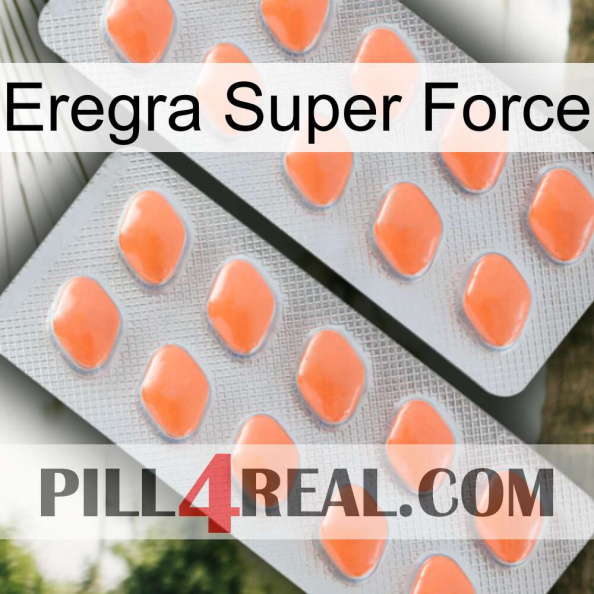 Eregra Super Force 27.jpg